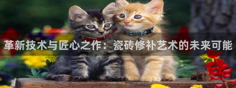 金年会官方网站登录