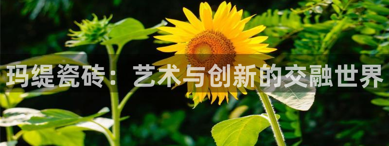 金年会赞助西甲