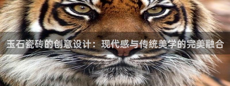 金年会彩票下载app