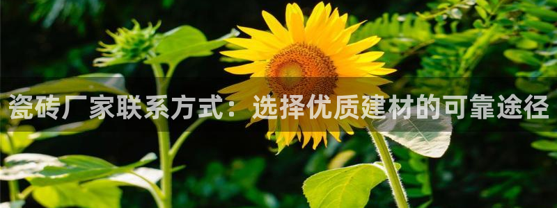 金年会体育金年会官网