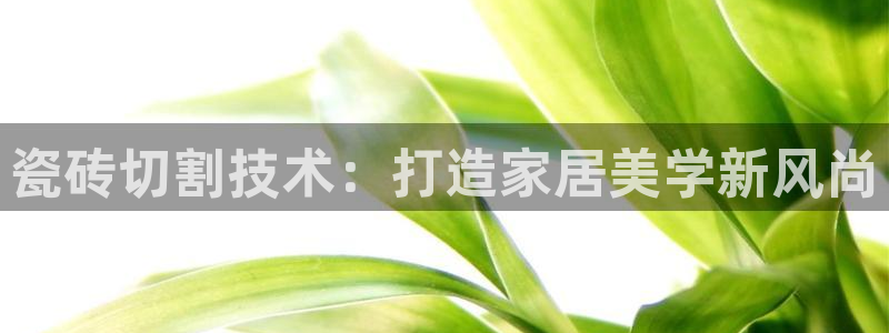 金年会网页版登陆