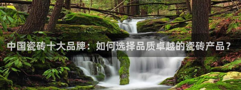 金年会网页登录