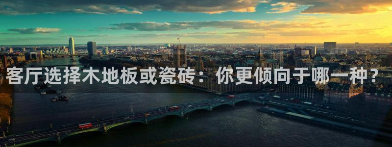 金辉城年会视频