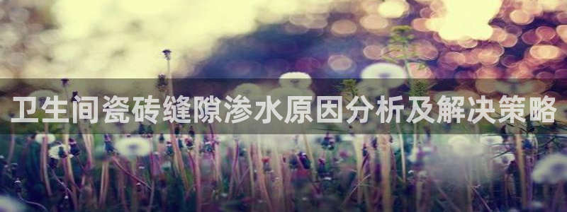 金年会官网入口