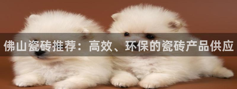 金年会电子