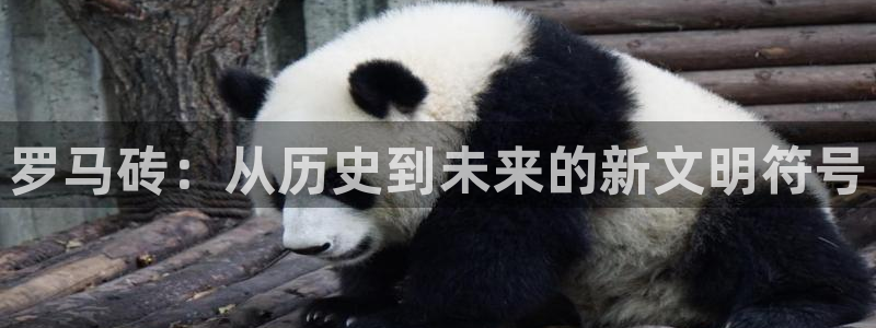 金年会赞助曼联