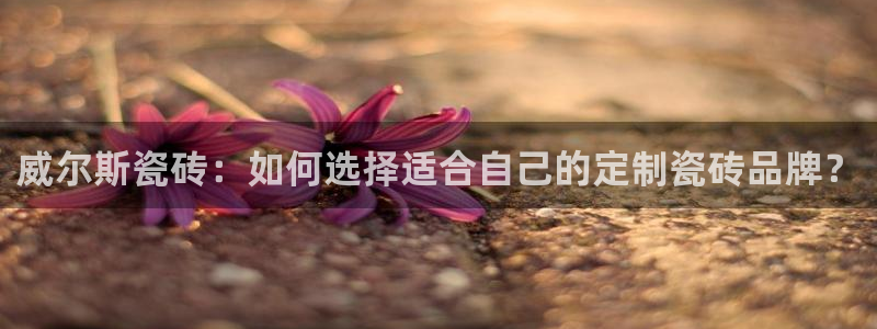 金年会软件之家下载