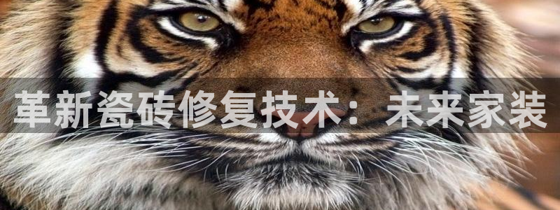 金年会 信誉至上