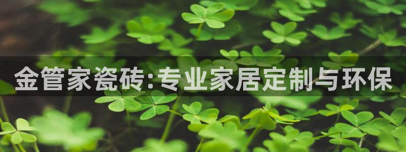 金诺利年会