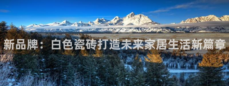 金年会最新登录