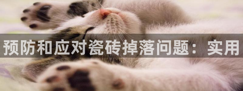 金年会金字招牌信誉