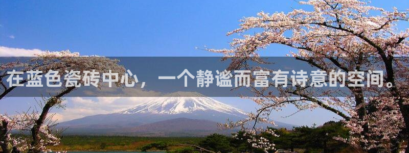 金年会官方网站入口