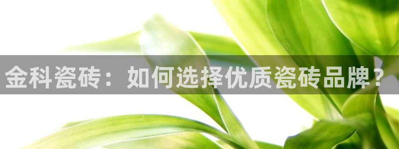 金年会网页登录