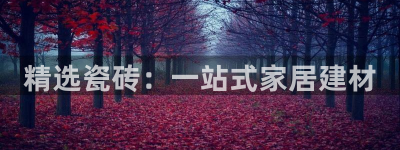 澳门金年会棋牌