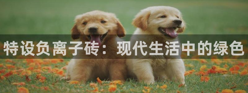 金年会体育苹果下载