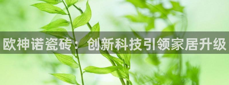 金年会手机官网