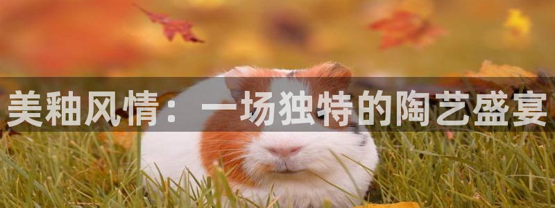 金年会体育官方网站入口