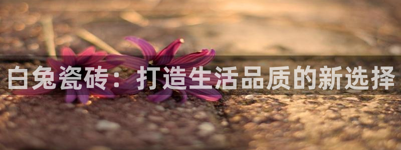 金年会体育金年会官网