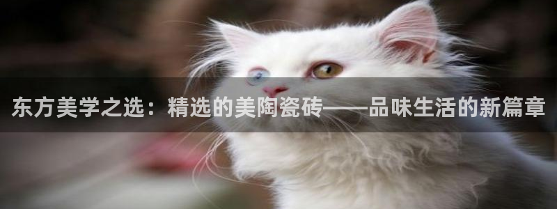 金年会网页版登陆