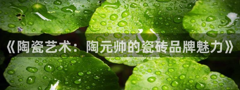 金年会登录入口
