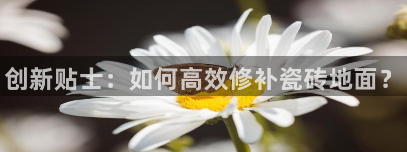 金年会在线入口