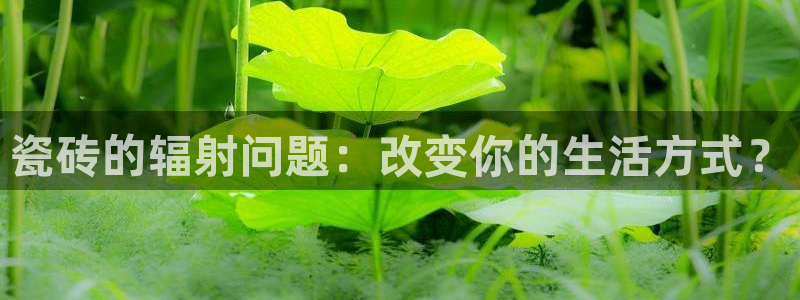 金年会最新官网