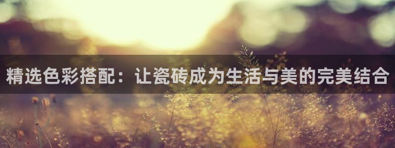 金年会彩票下载app