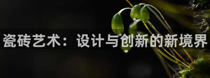 金年会体育平台在线登录