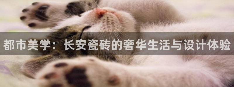 金年会游戏官网