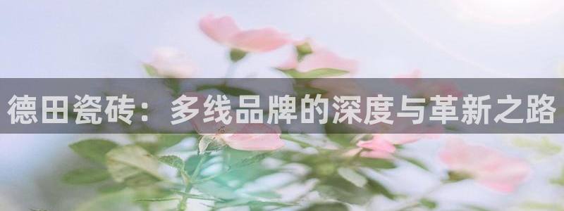 金年会体育平台入口