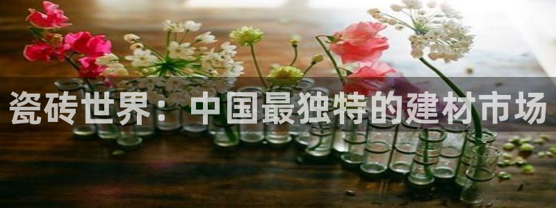 金年会彩票软件