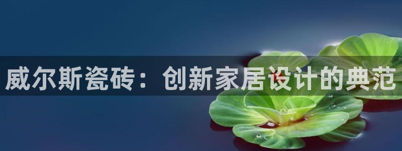 金年会这个平台