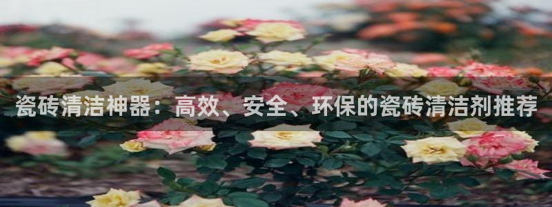 金年会最新官网